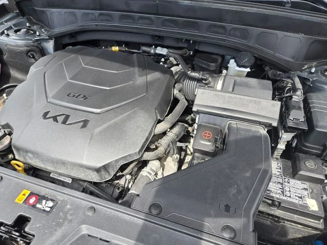 Used 2025 Panthera Metal Kia S image 22