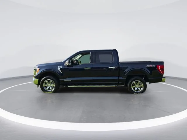 Used 2023 Blue Ford XLT image 5