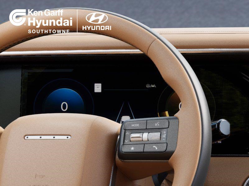New 2026 Earthy Brass Matte Hyundai Calligraphy image 15