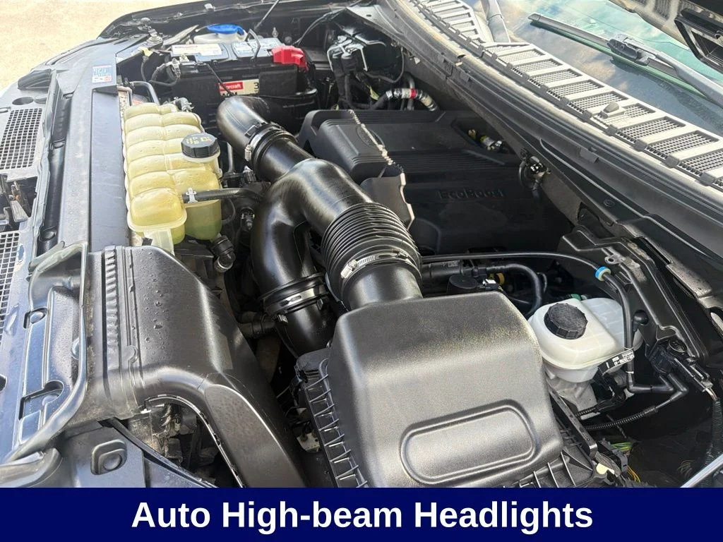 Used 2020 Black Ford Limited image 20