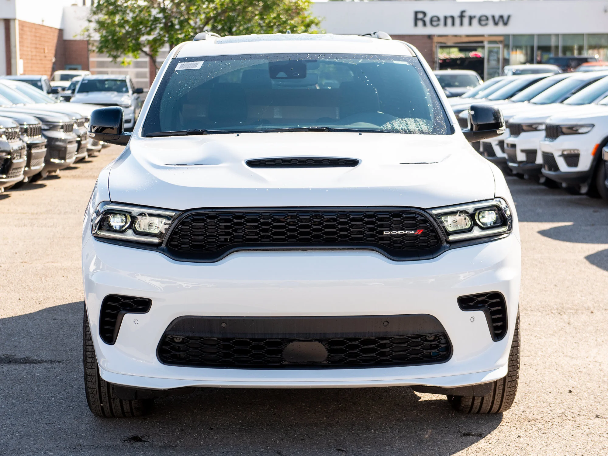New 2026 White Dodge GT Plus* image 7