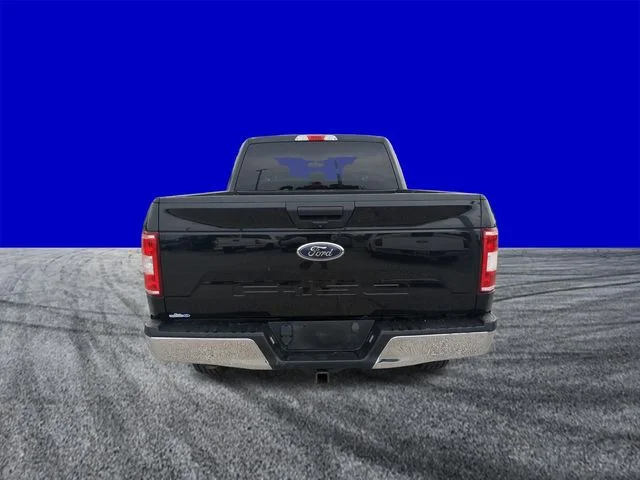 Certified Used 2019 Black Ford XLT image 5