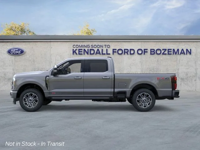 New 2026 Gray Ford  image 3