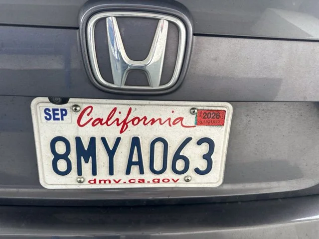 Used 2019 Gray Honda LX image 8
