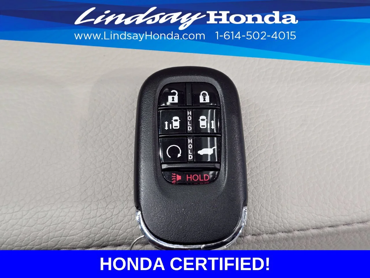 Photo 51