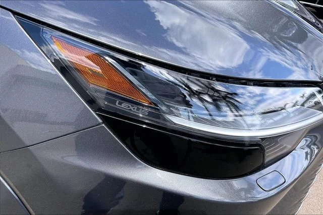 2025 Lexus RX 350 - Photo 26