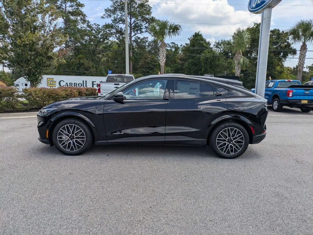 New 2026 Shadow Black Ford Premium image 7