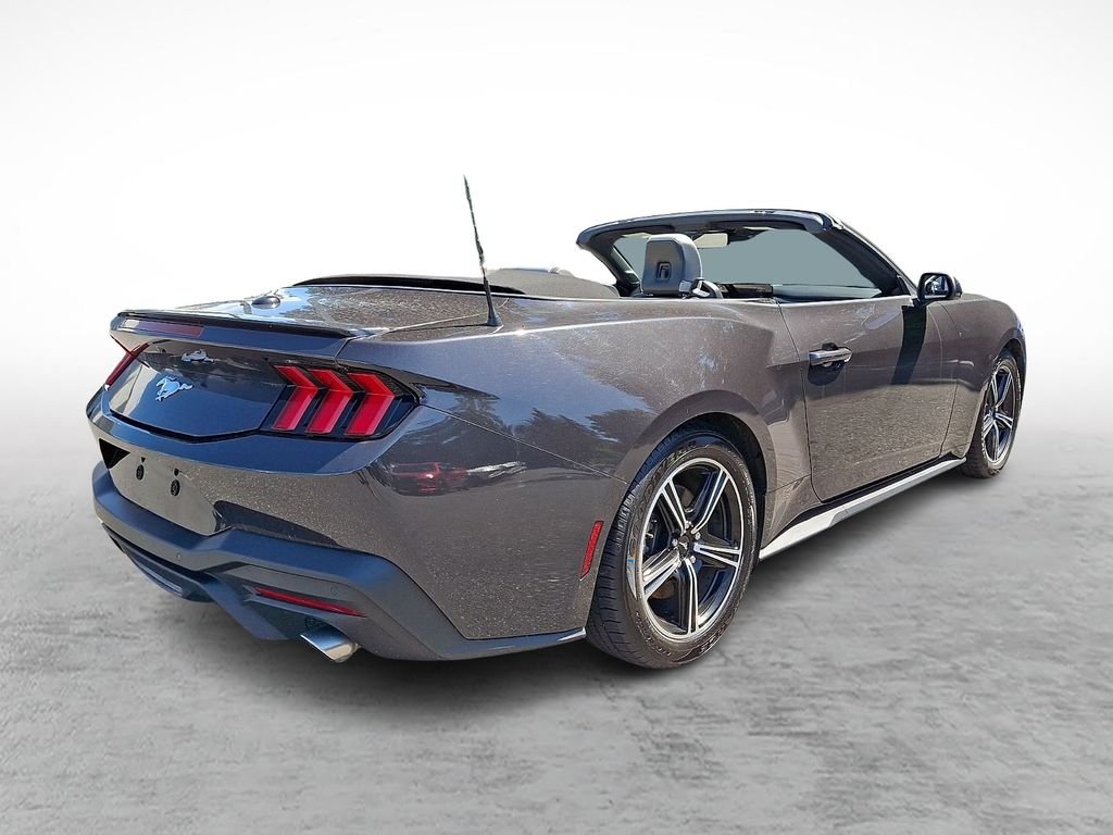 Used 2024 Gray Ford EcoBoost Premium image 6