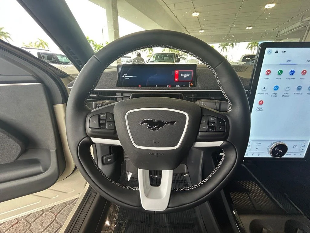 2025 Ford Mustang Mach-E GT - Photo 14
