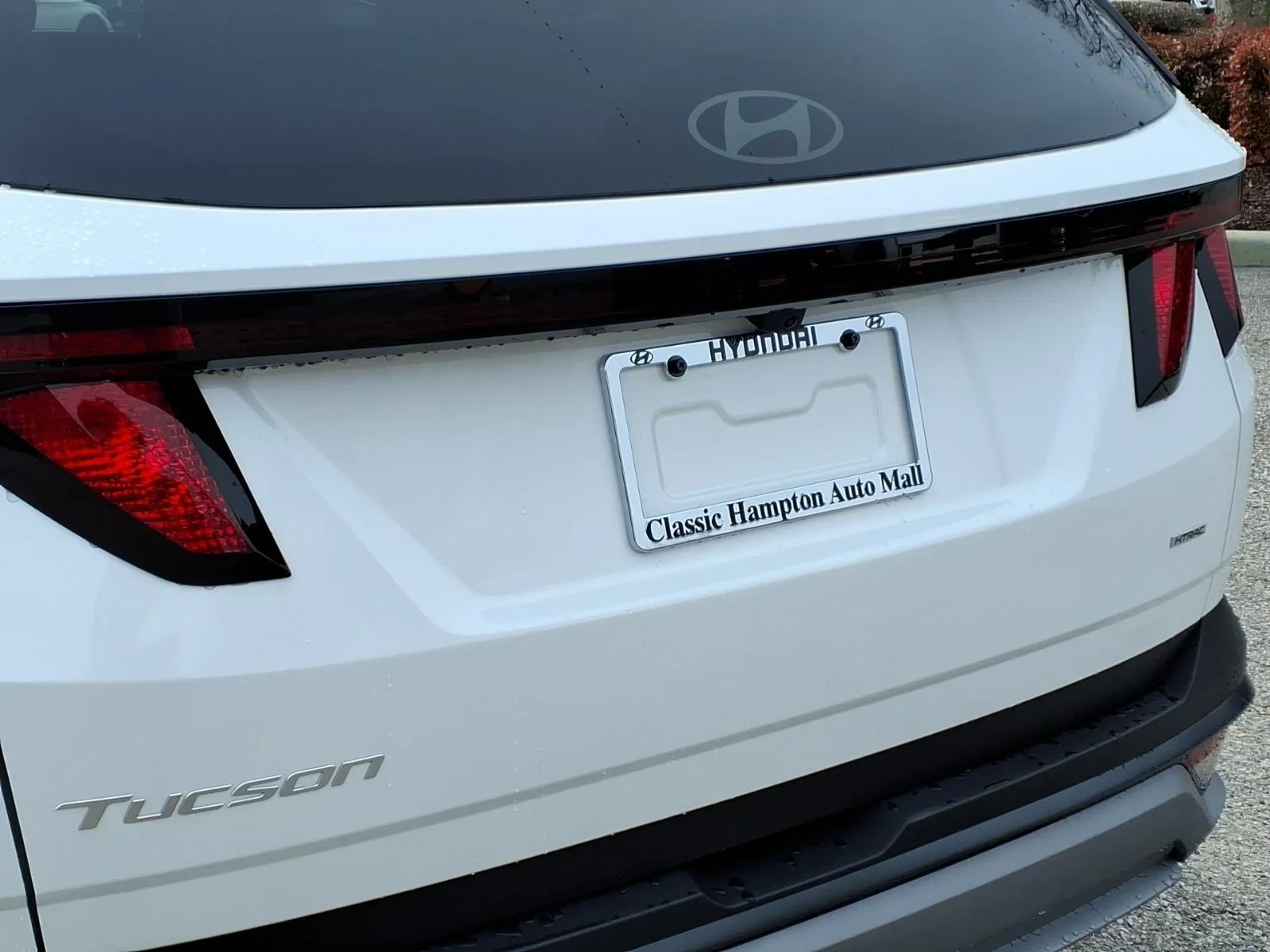 Used 2026 Serenity White Pearl Hyundai SEL image 10