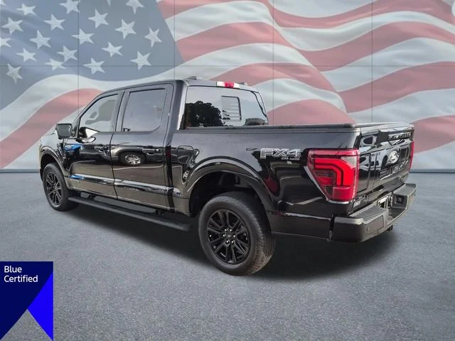 Used 2025 Black Ford Platinum image 5