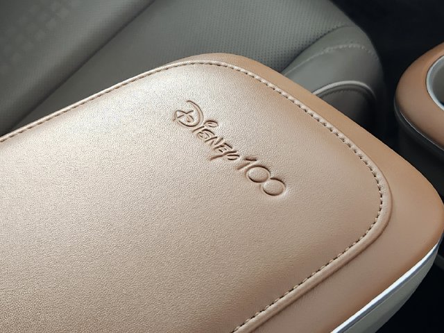 2024 Hyundai IONIQ 5 Disney100 Platinum - Photo 19