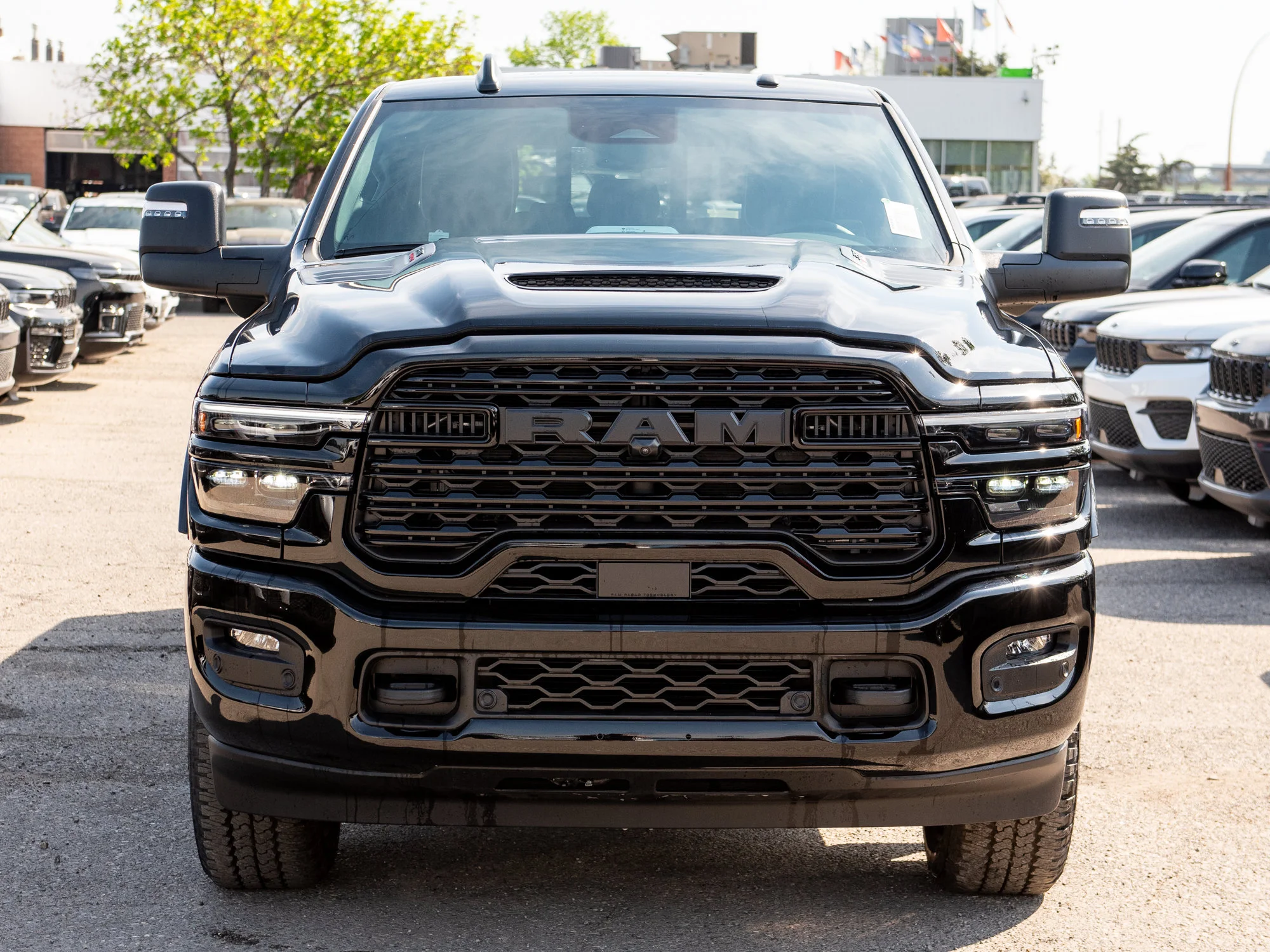 New 2026 Black RAM Limited* image 10