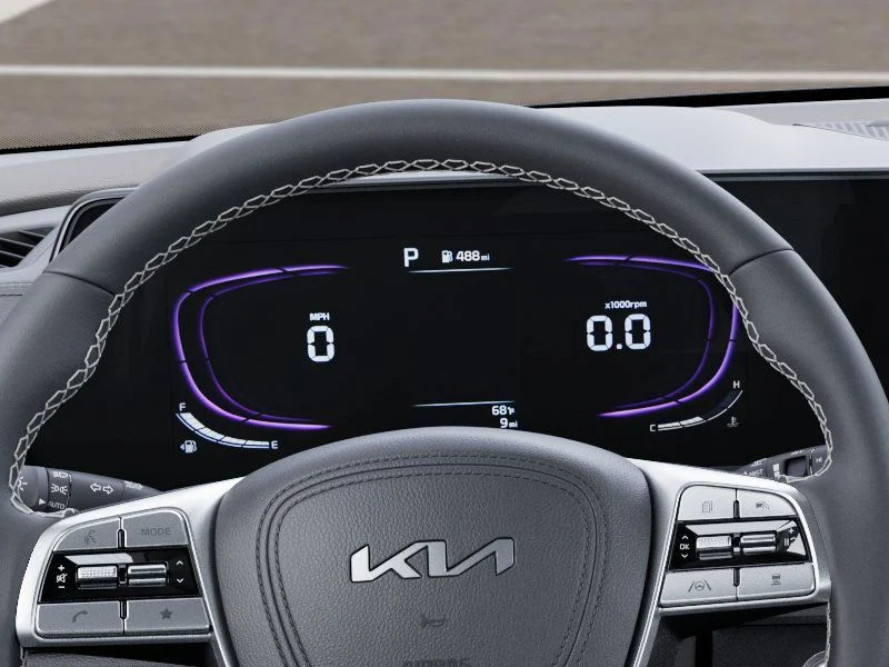New 2025 Panthera Metal Kia S image 20