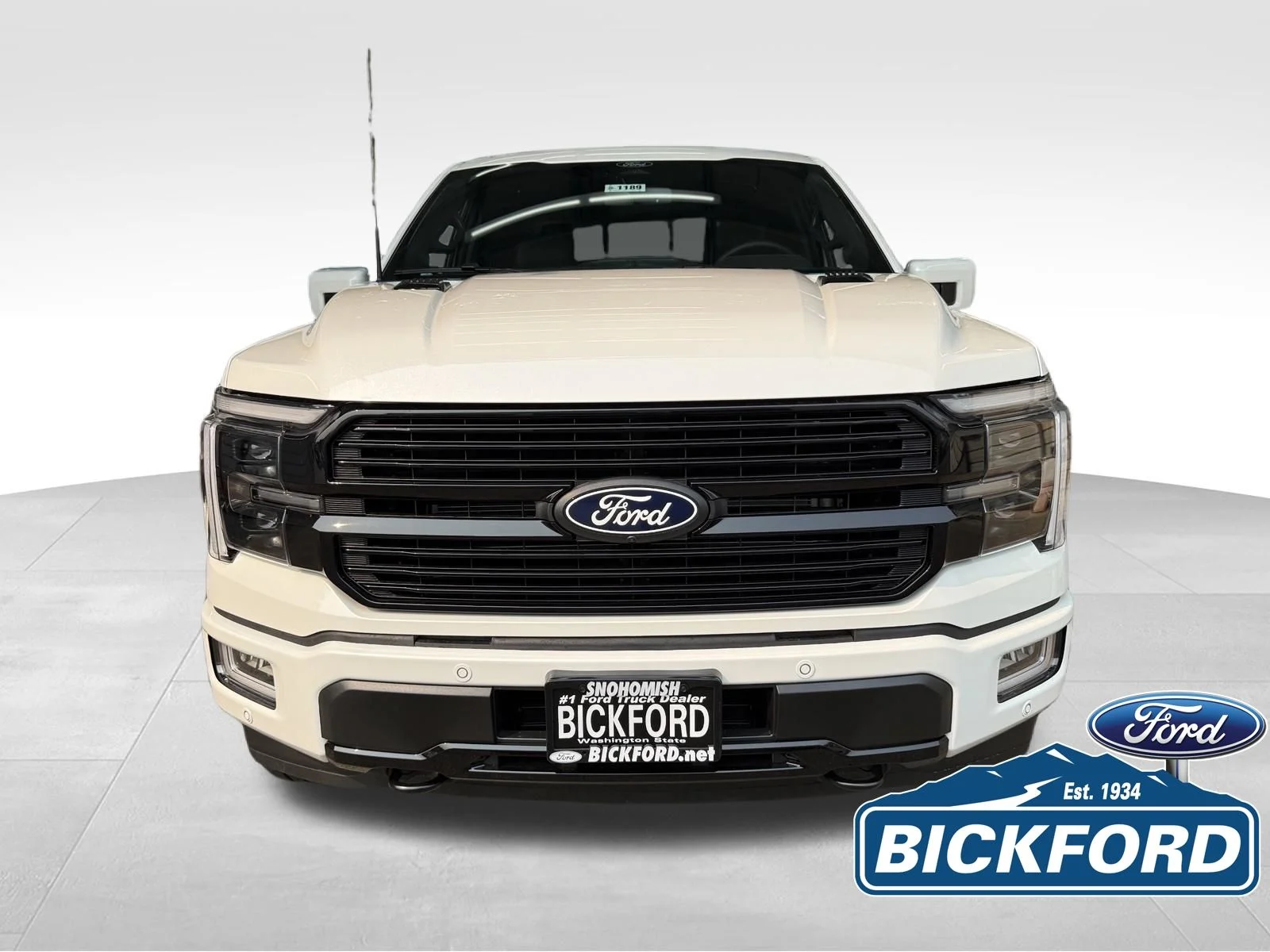 New 2026 White Ford Platinum image 2