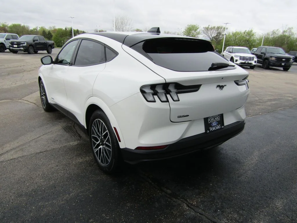 Used 2025 Star White Ford Premium image 5