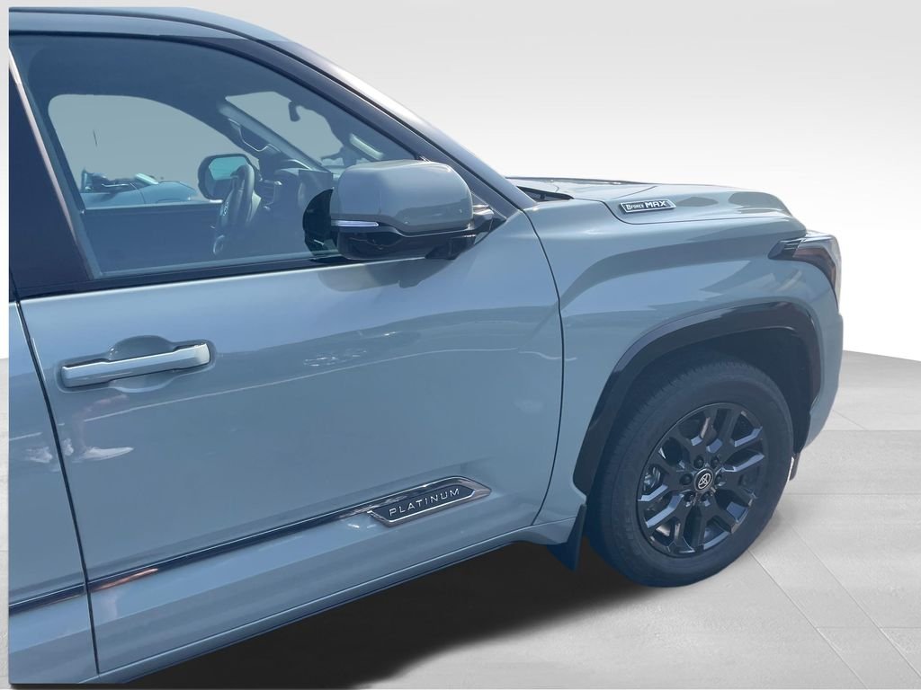 New 2026  Toyota Platinum image 12