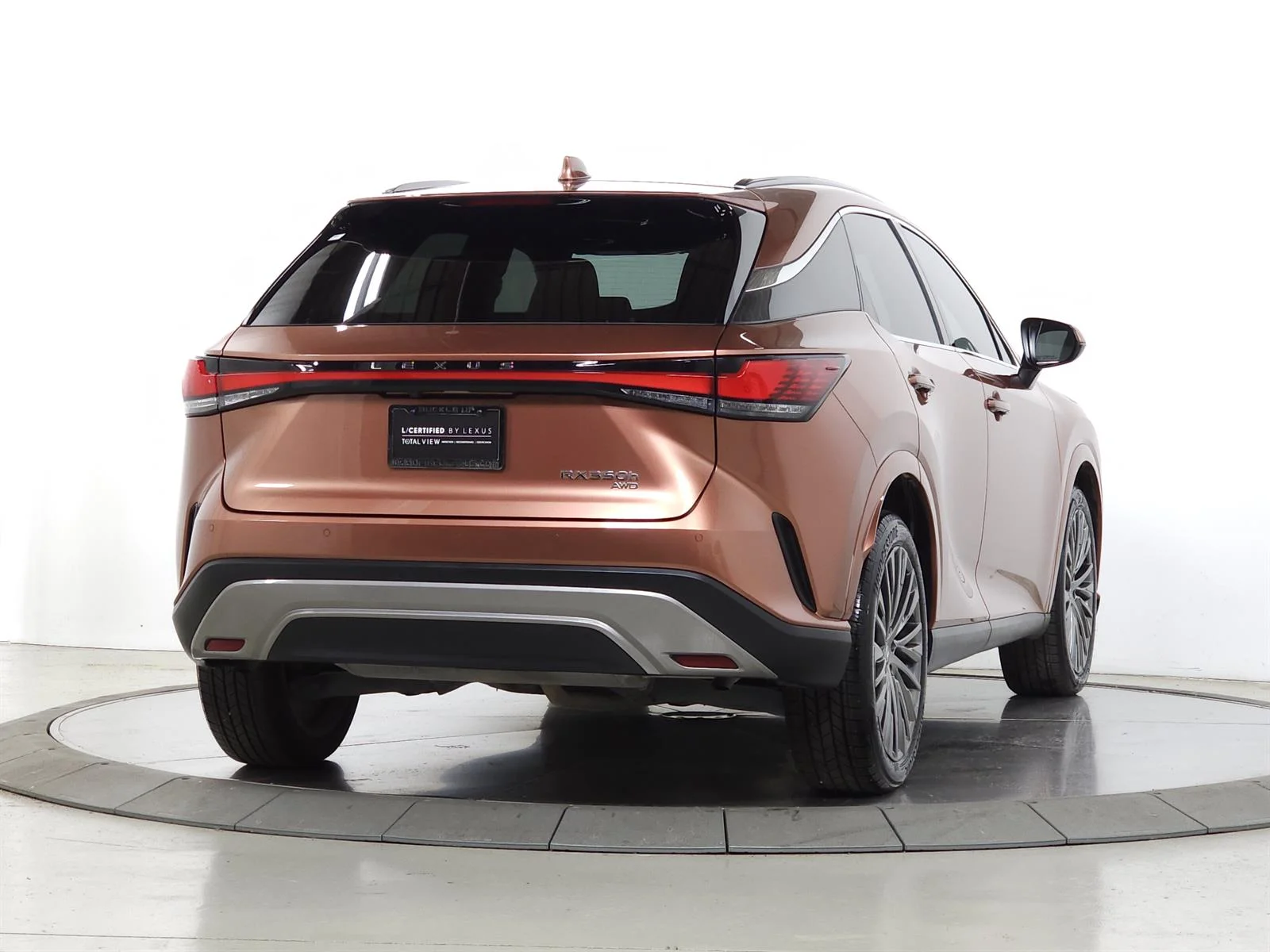 2023 Lexus RX Hybrid 350h - Photo 11