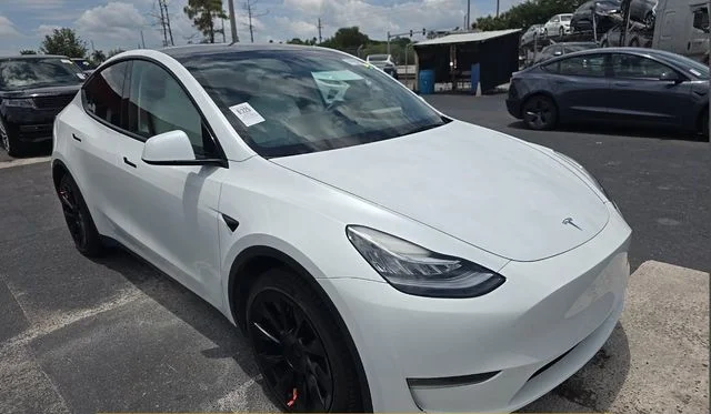 2023 Tesla Model Y's photo
