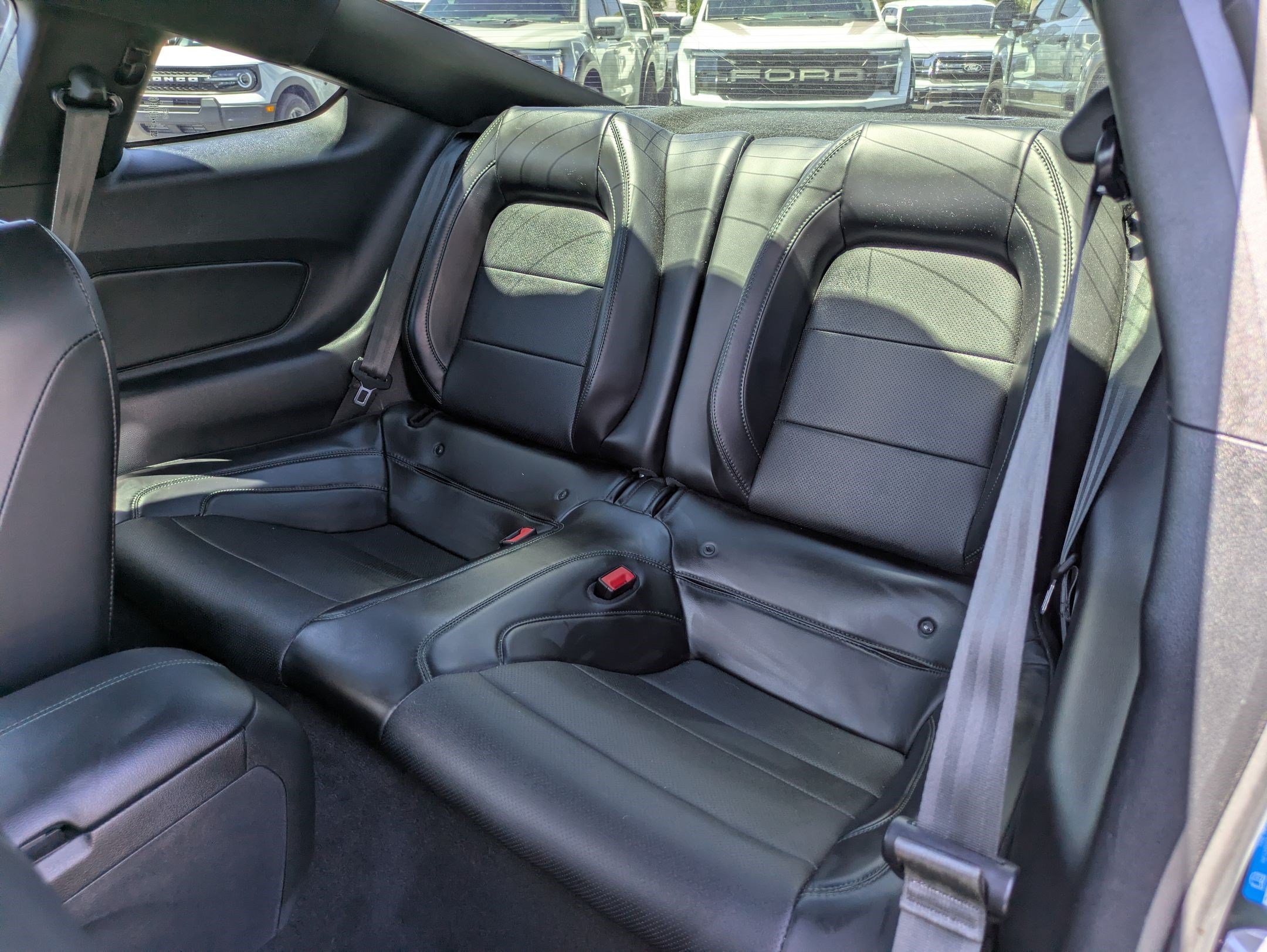 Used 2020 Dark Highland Green Metallic Ford Bullitt image 26