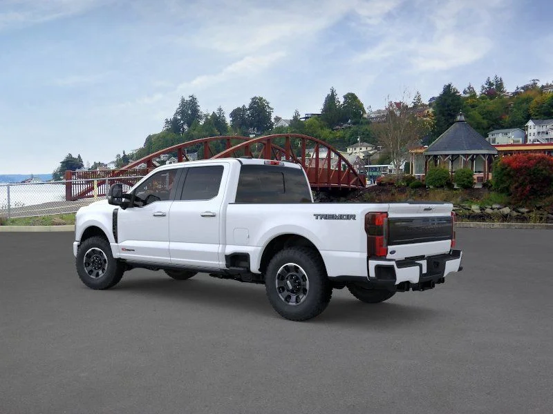 New 2026 White Ford Platinum image 6