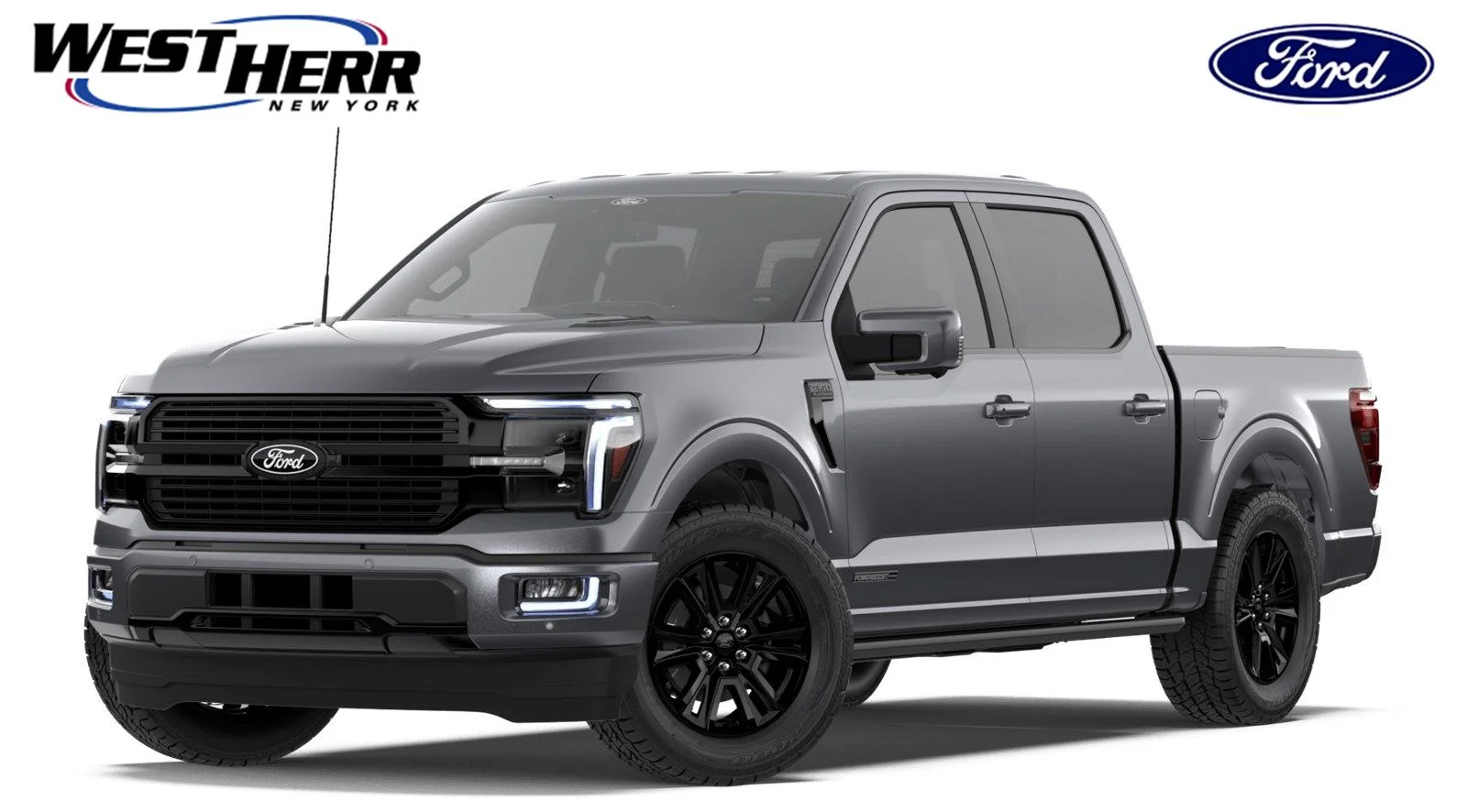 New 2026 Carbonized Gray Metallic FORD Platinum® image 1
