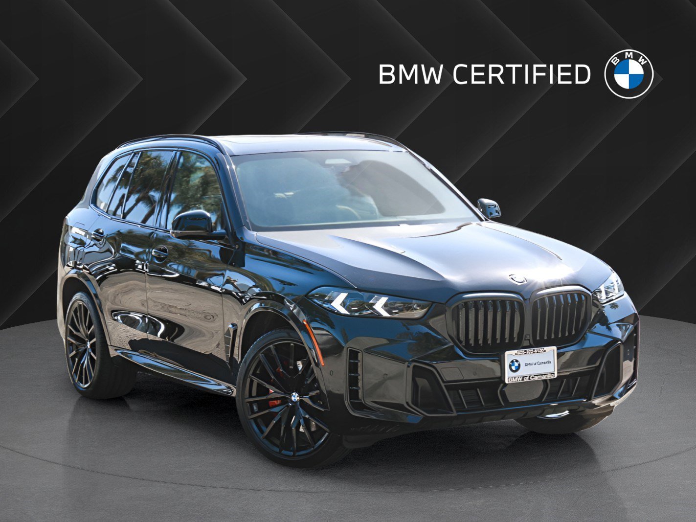 2024 BMW X5