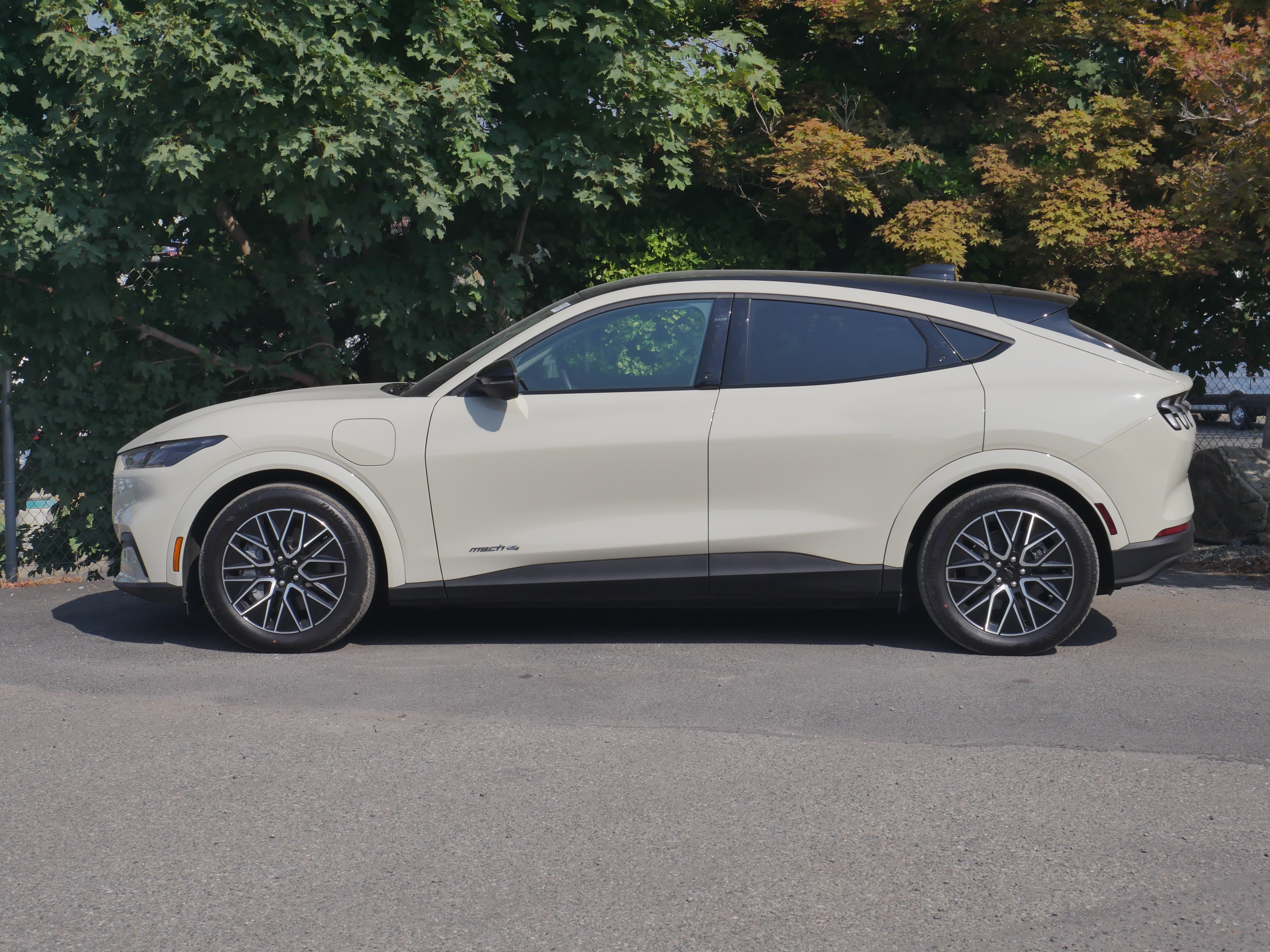 Used 2025 Desert Sand Ford Premium image 18
