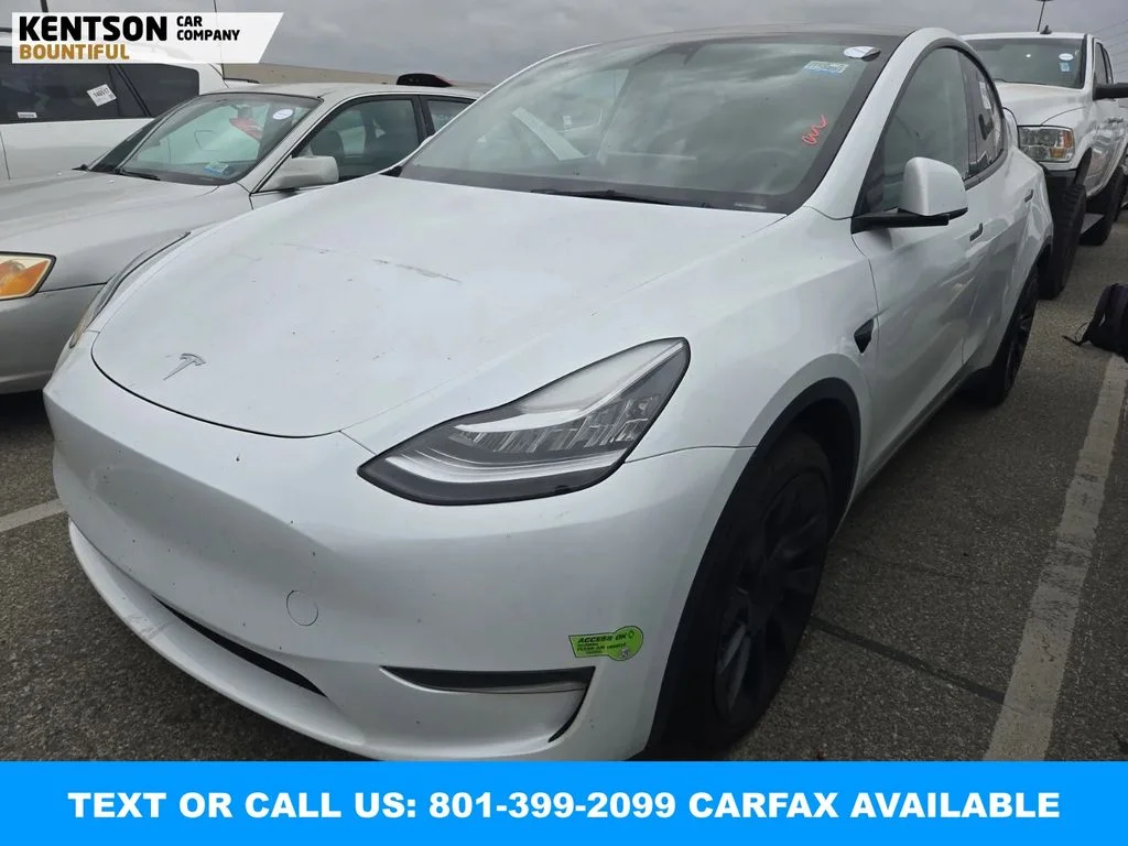 2023 Tesla Model Y's photo