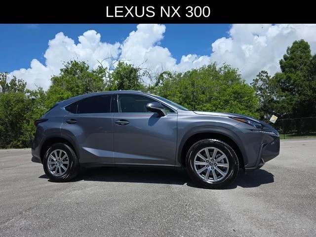 2021 Lexus NX 350 300 AWD's photo