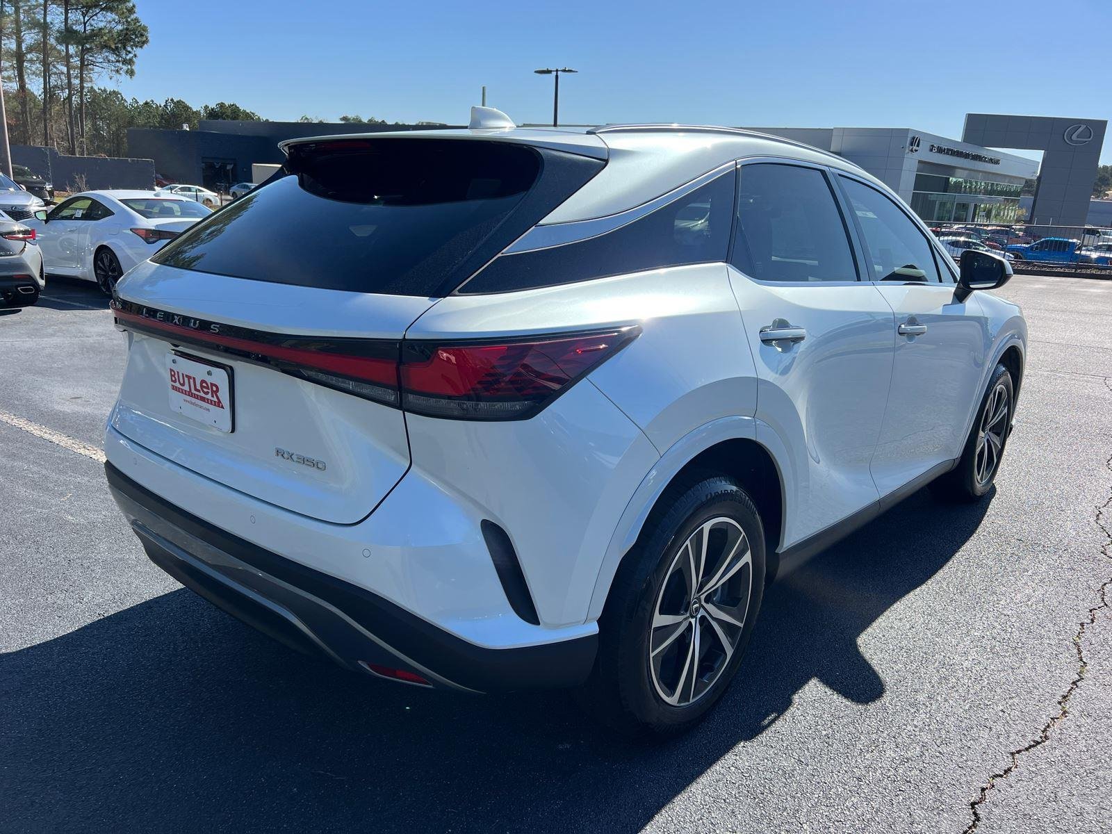 2024 Lexus RX 350 - Photo 6