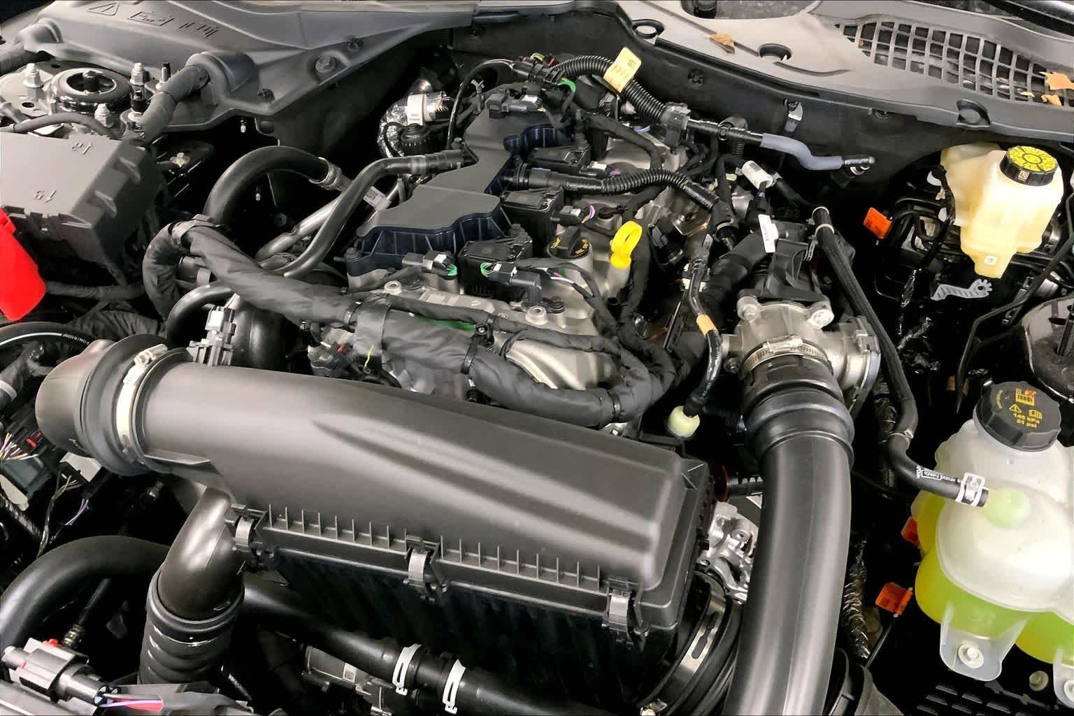 New 2026 Shadow Black Ford EcoBoost® Fastback image 16