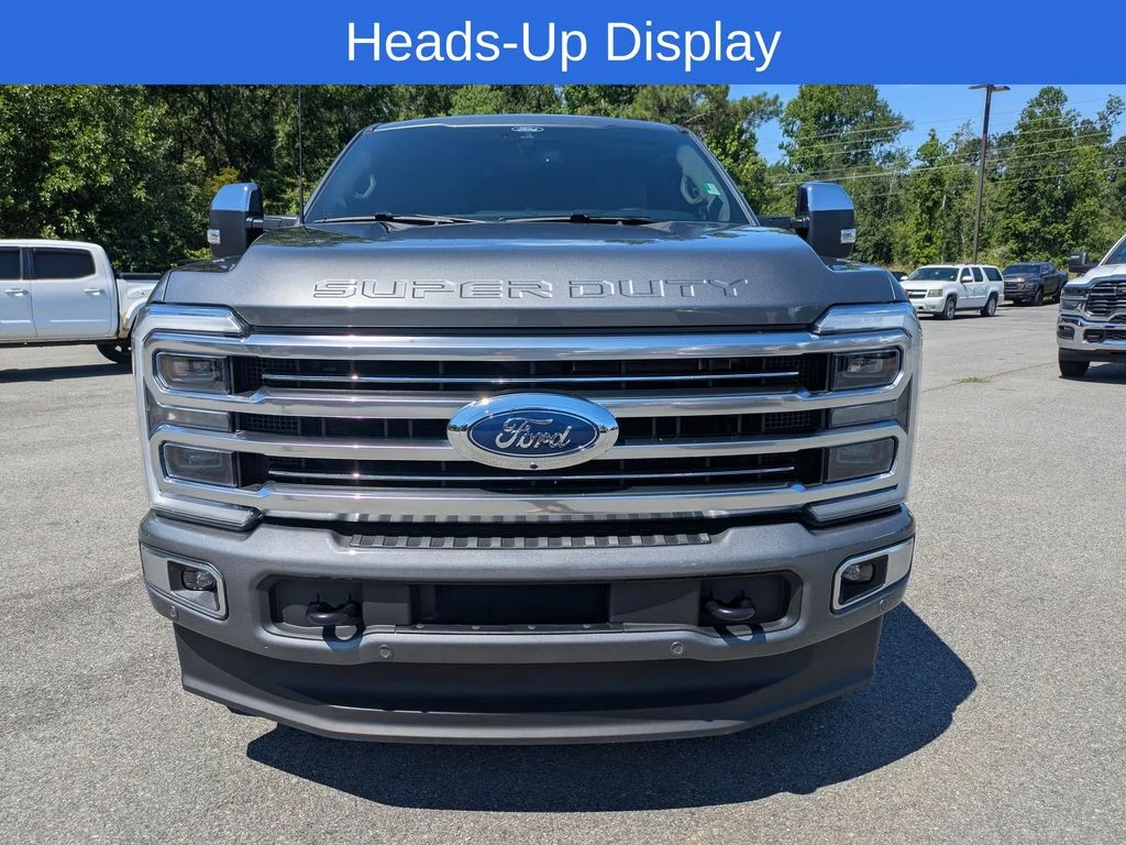 Used 2026 Gray Ford Platinum image 9