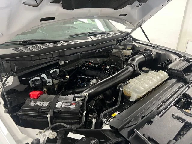 Used 2024 White Ford Tremor image 64