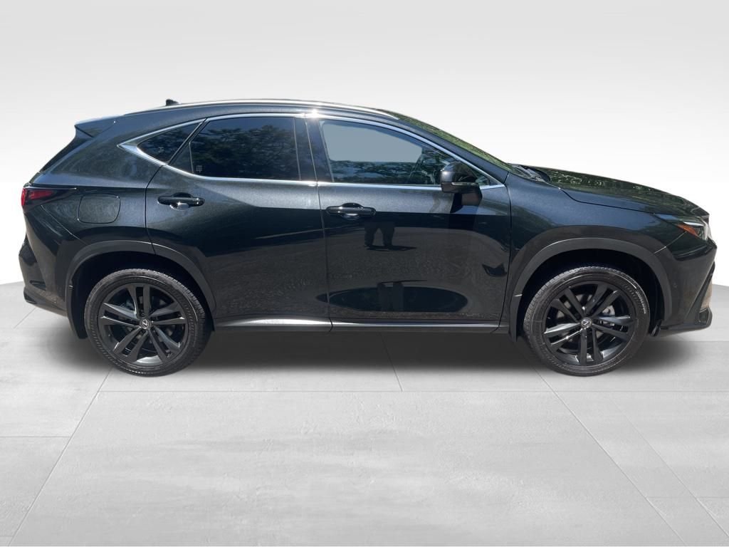2024 Lexus NX PHEV 450h+ - Photo 9