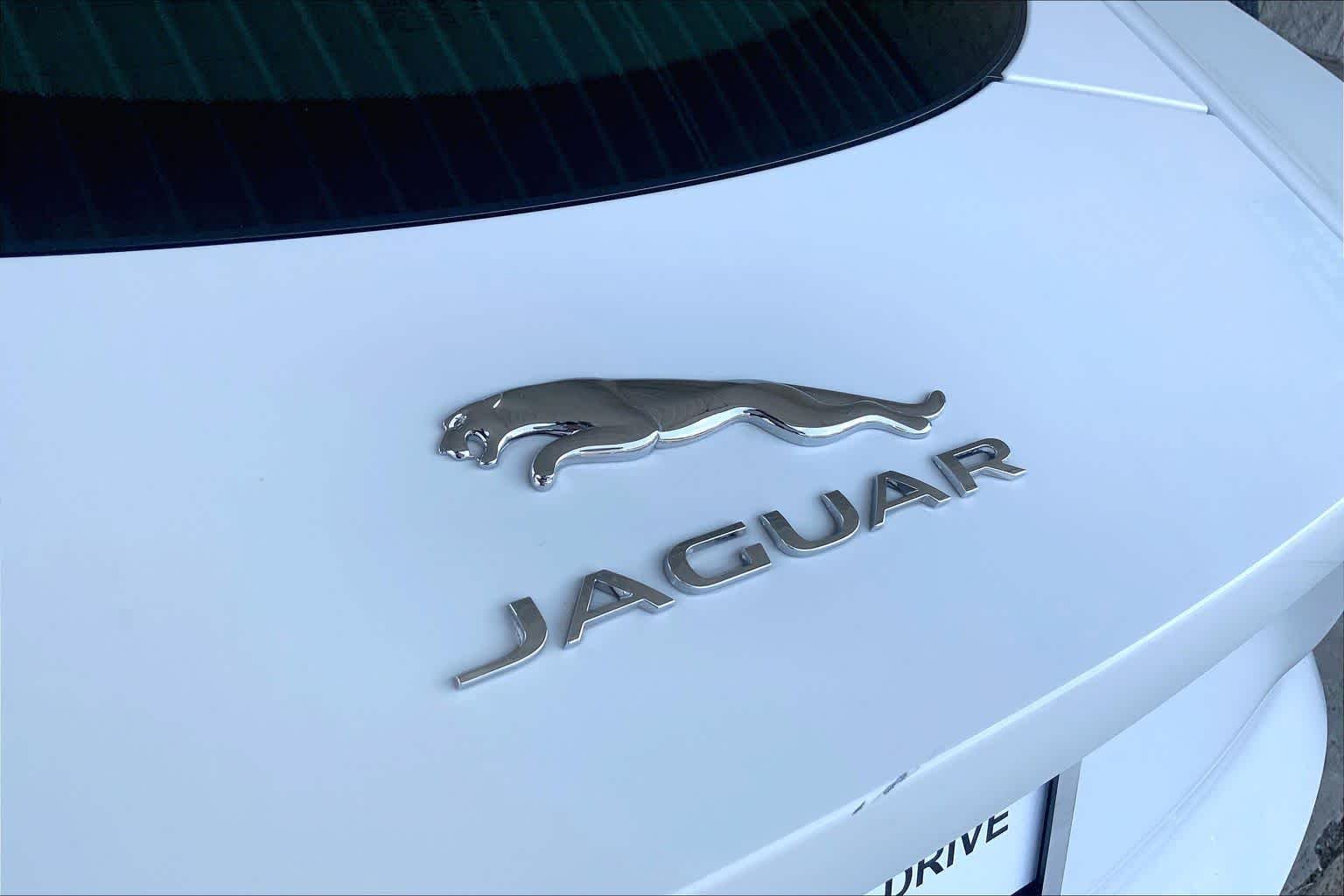 Used 2021 Fuji White Jaguar First Edition image 29