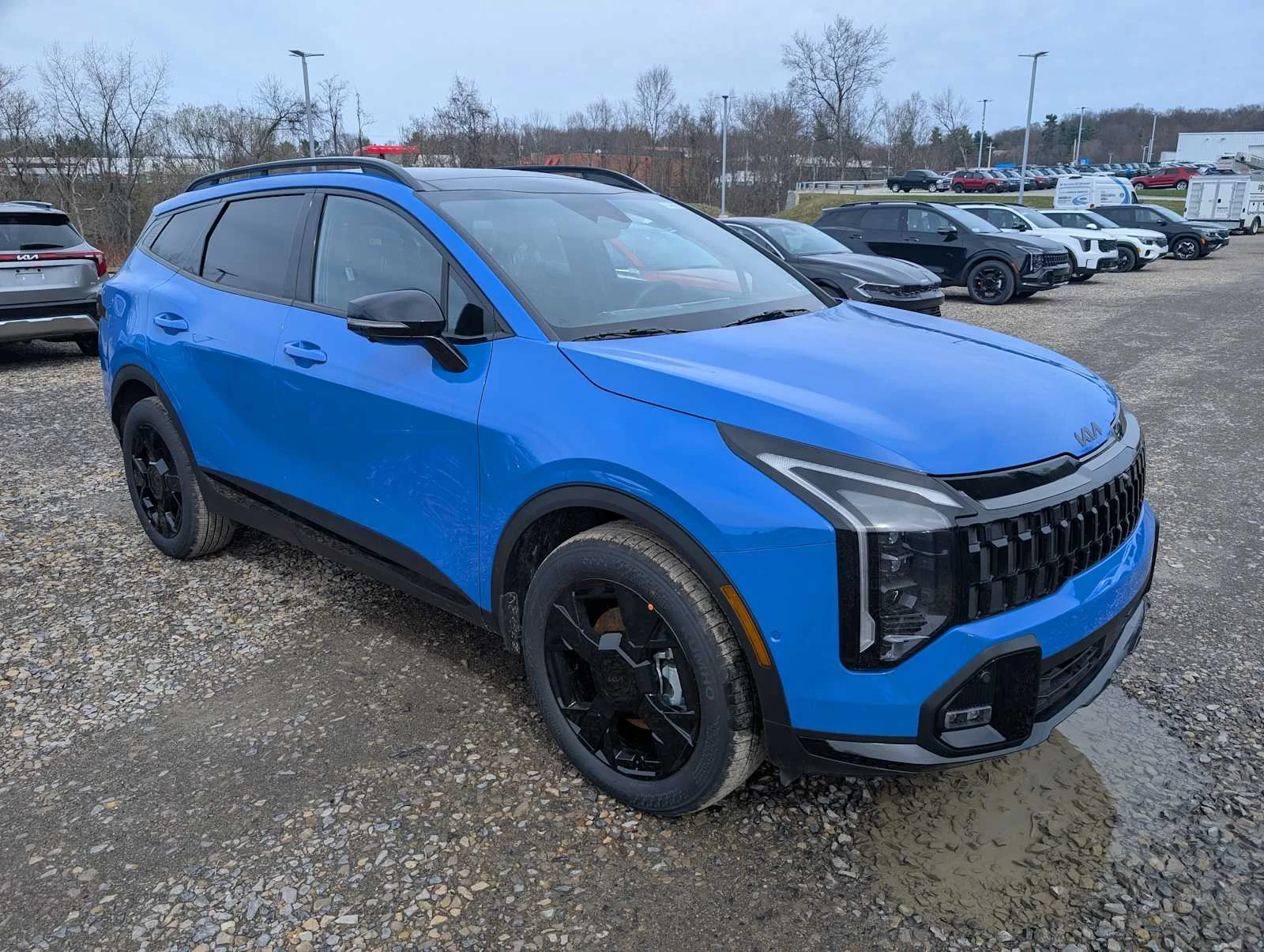 New 2026 Nebular Blue Kia X-Line image 6