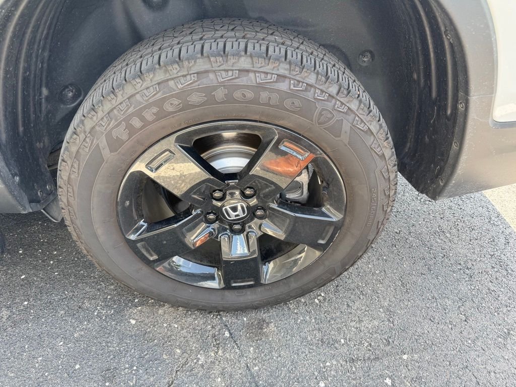Used 2024 White Honda Black Edition image 10