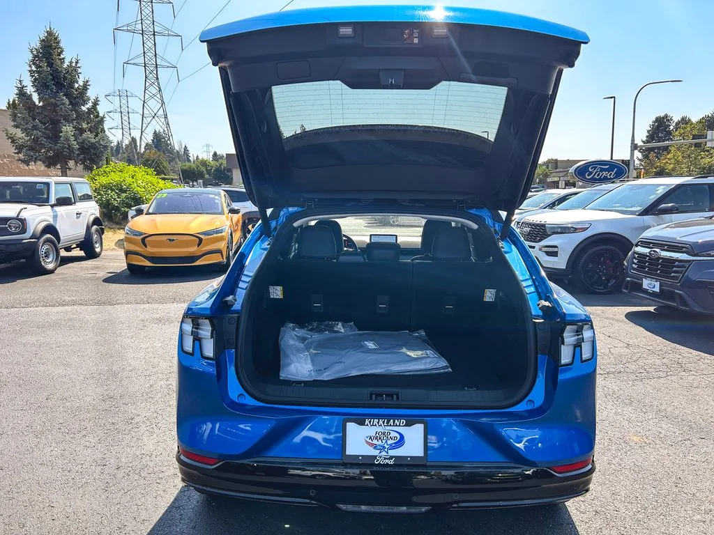 New 2026 Velocity Blue Metallic Ford Premium image 10