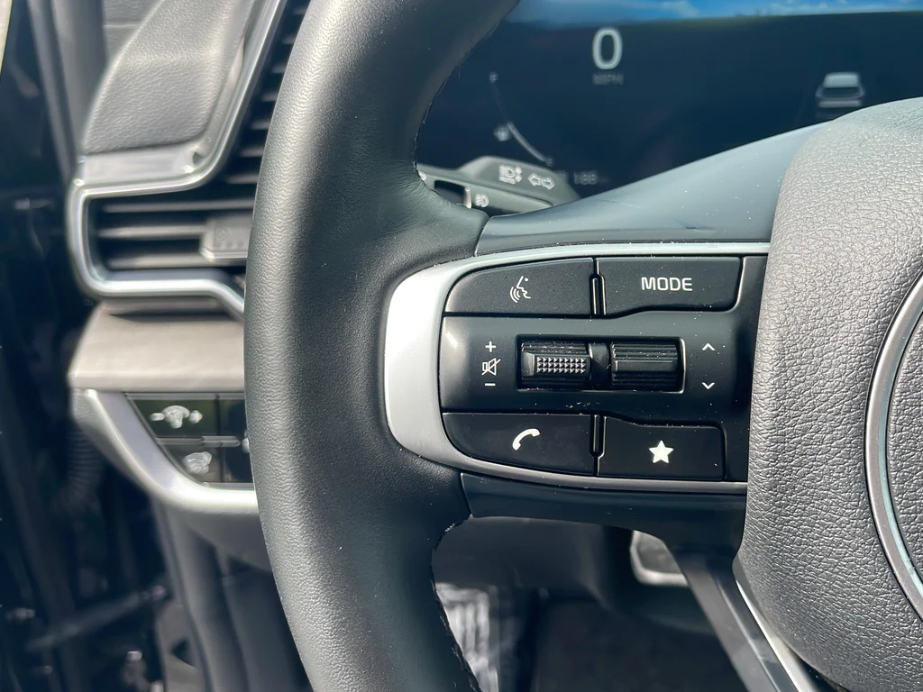 Used 2023 Black Kia X-Pro Prestige image 16