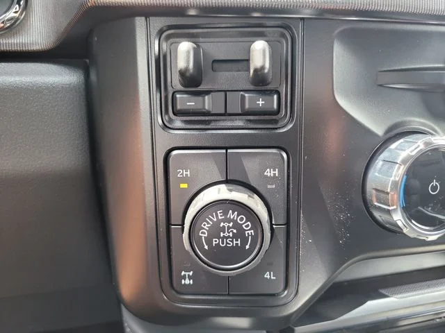 New 2026 Black Metallic Ford Platinum image 28