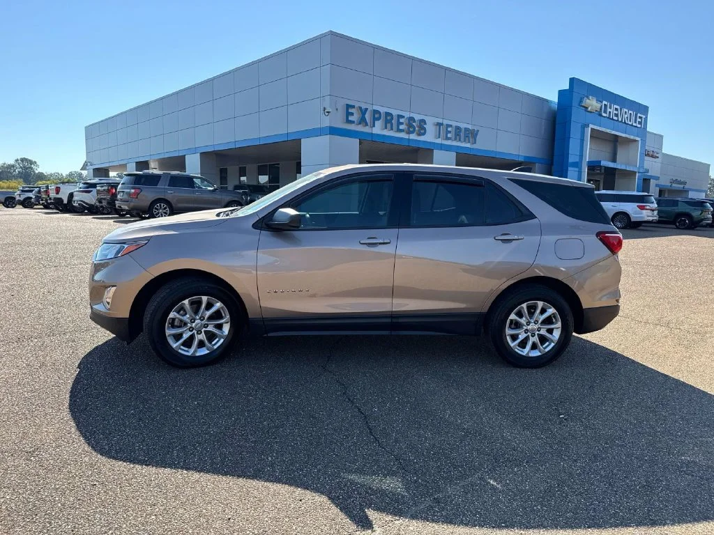 Used 2018 Beige Chevrolet LS image 4
