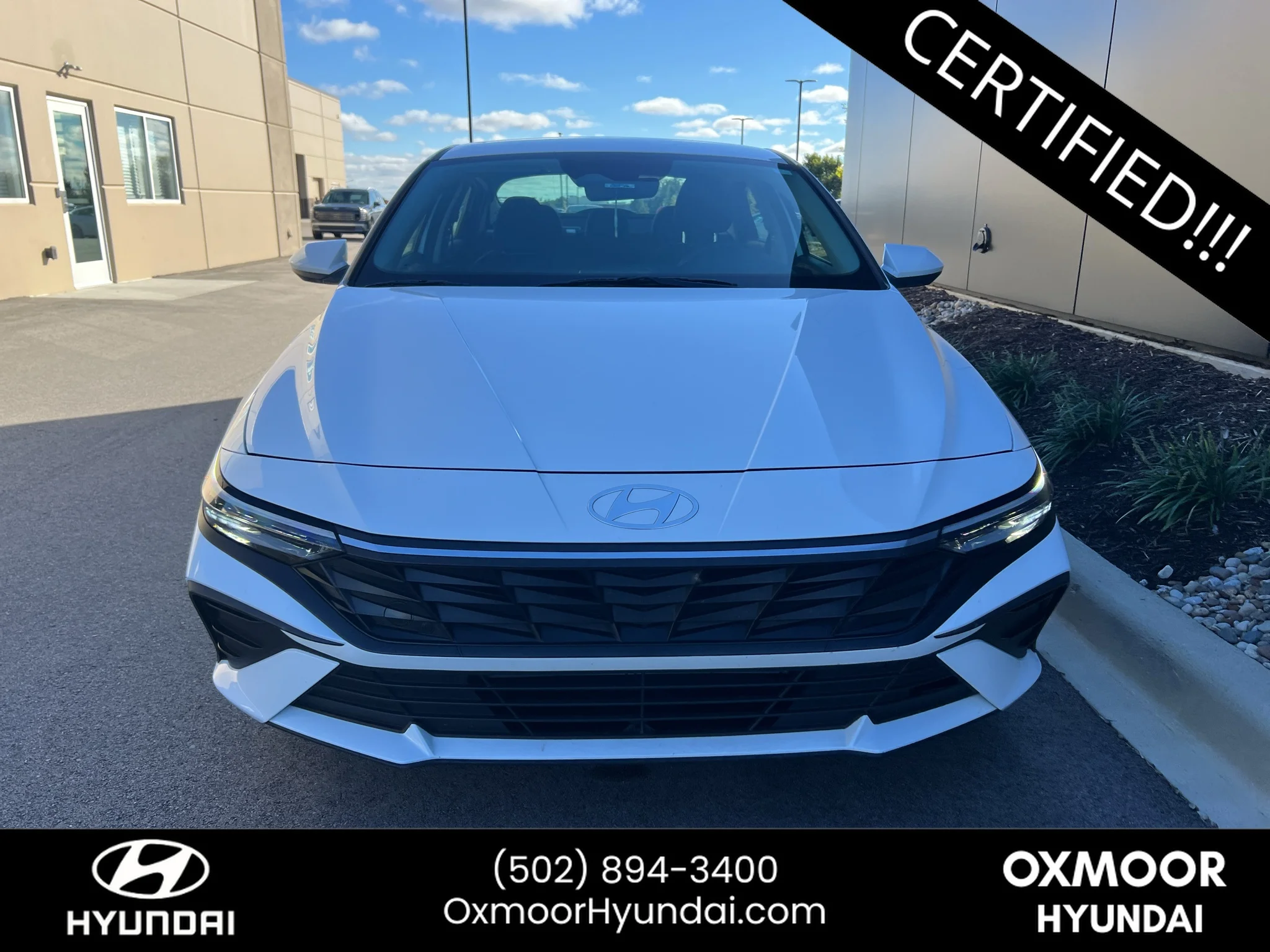Used 2024 Serenity White Hyundai SEL image 2