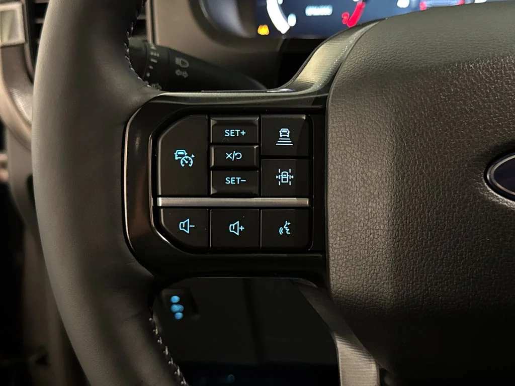 New 2026 Gray Ford Platinum image 37
