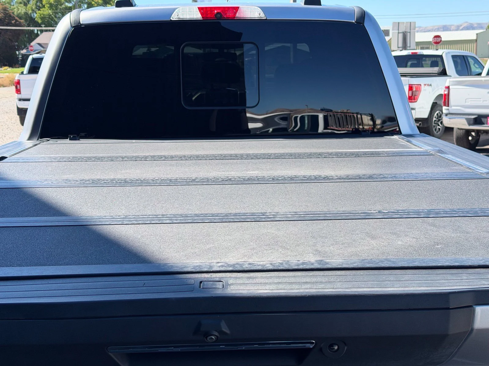 Used 2020 Silver Ford Platinum image 10
