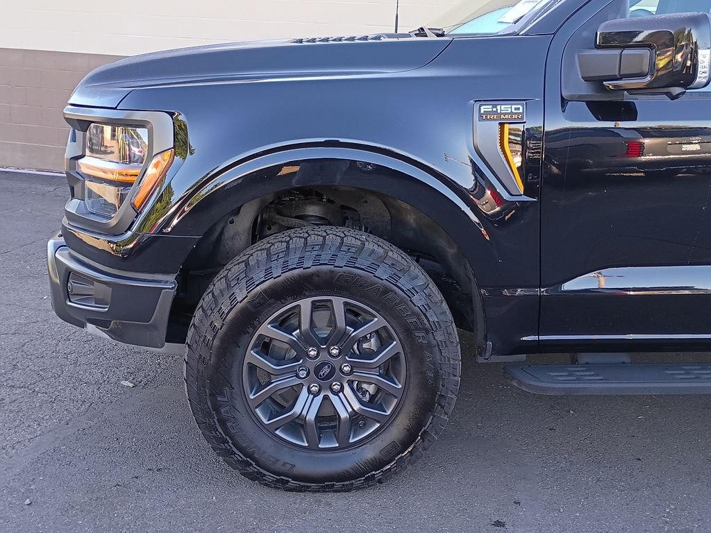 2025 Ford F-150 Tremor - Photo 10
