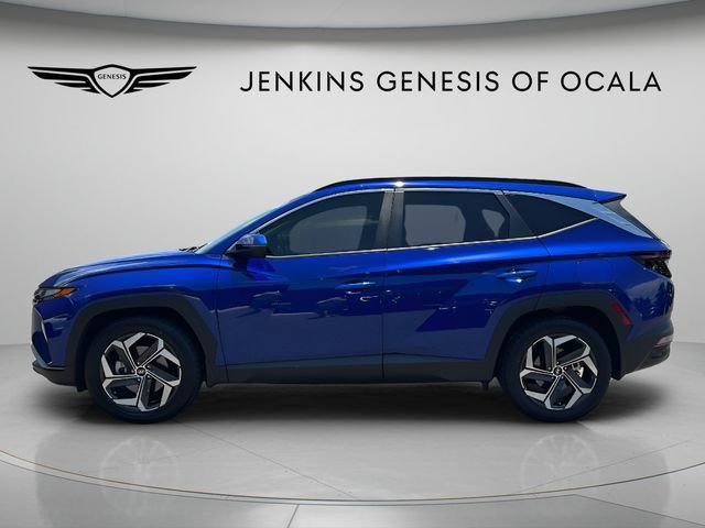 Used 2023 Blue Hyundai SEL image 4