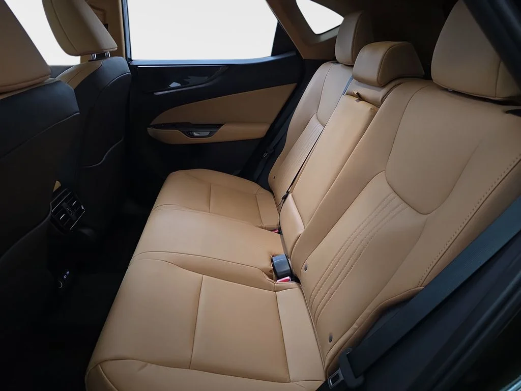 New 2026 Nori Green Pearl Lexus PREMIUM image 14