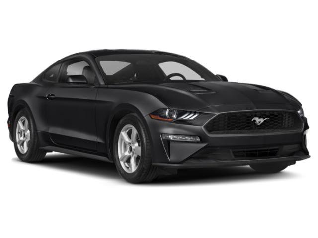 Used 2020 Shadow Black Ford EcoBoost image 9