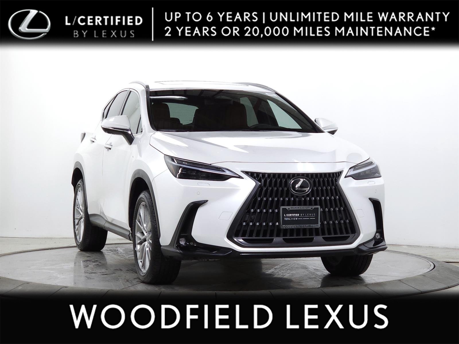 2025 Lexus NX 350h 350h Luxury AWD's photo